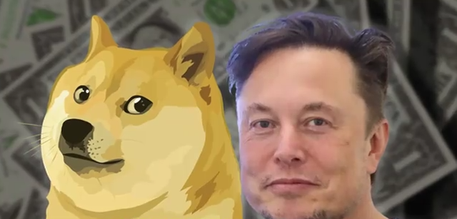 Quantificação do cão